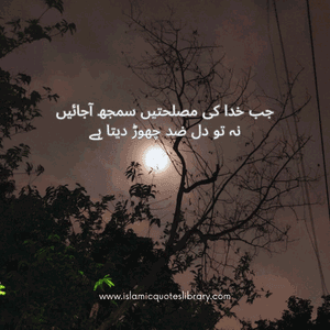 Best Quotes About Life In Urdu