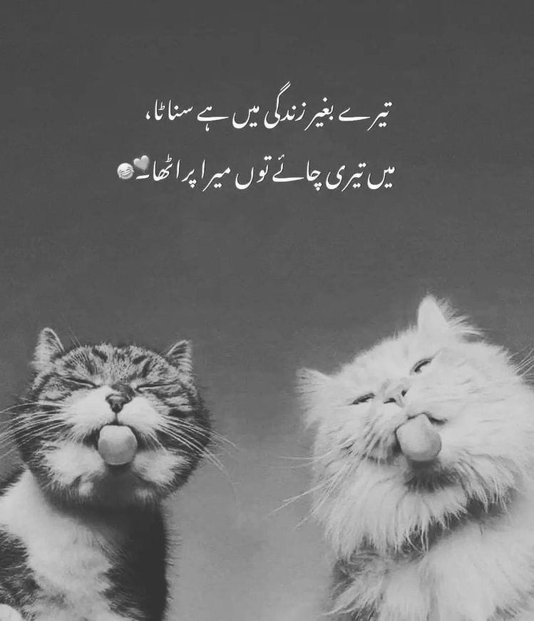 Funny Quotes In Urdu