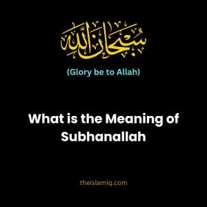 What is the Meaning of Subhanallah